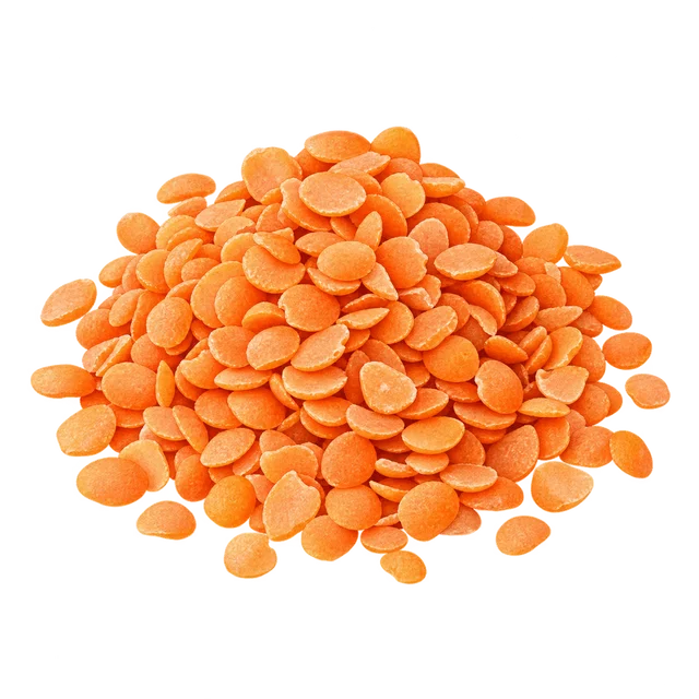 Illustration de lentille corail sèche