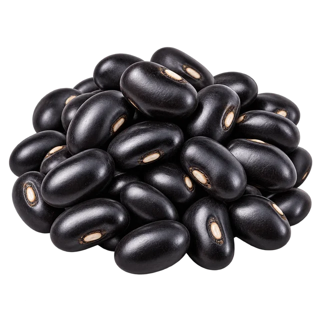 Illustration d’un tas de haricots noirs secs