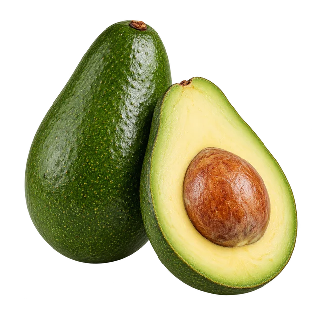 Illustration d’un avocat à peau verte et lisse en forme de poire, d’aspect Fuerte, entier et coupé en deux