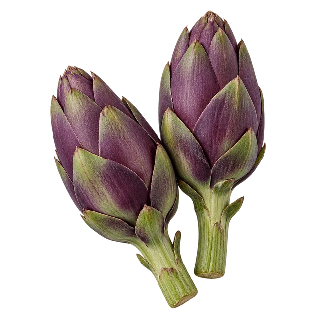 Illustration de deux petits artichauts violets allongés ; variété non vérifiable sur l’image