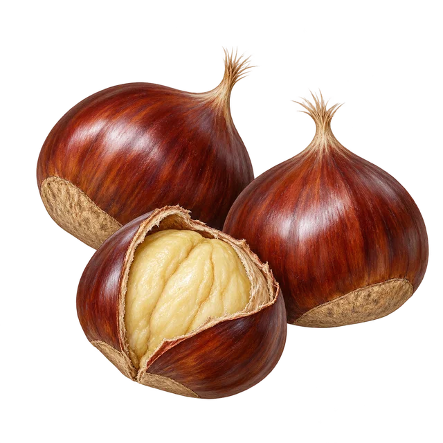 Illustration de deux châtaignes entières brun rouge et d’une châtaigne à la coque entrouverte sur sa chair claire ; image représentative, pas une preuve du cultivar Bouche rouge