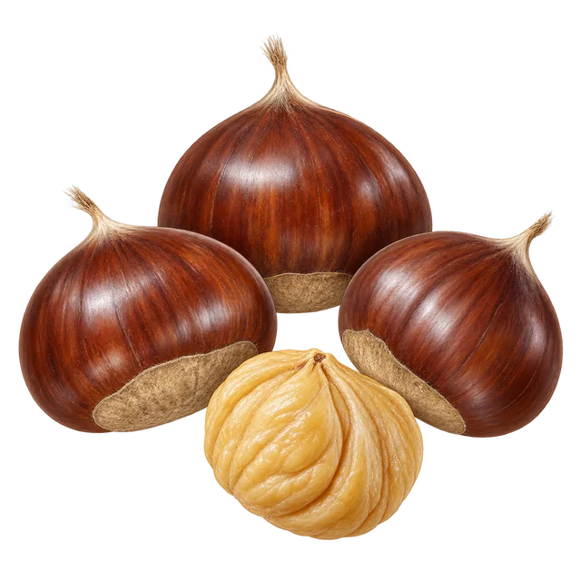 Illustration de trois châtaignes brunes et brillantes et d’une châtaigne épluchée à chair dorée ; image représentative, pas une preuve du cultivar Marigoule