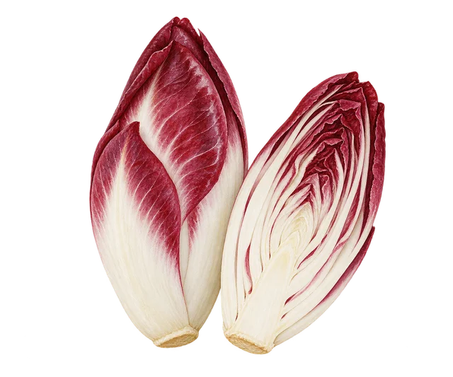 Illustration de deux endives rouges, l’une entière et l’autre coupée en deux, aux feuilles blanches bordées de rouge ; cultivar non identifié