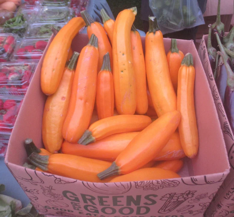 Courgettes jaunes, cultivar non précisé ; marché aux Philippines