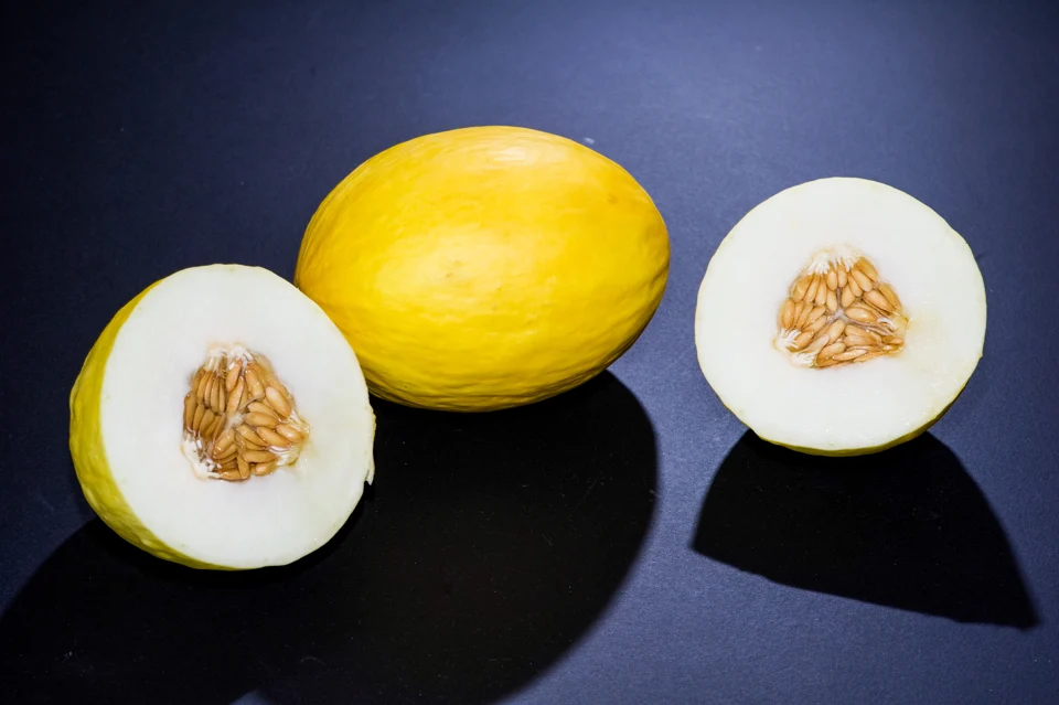 Melons canari entiers et coupés, identification de l’auteur.