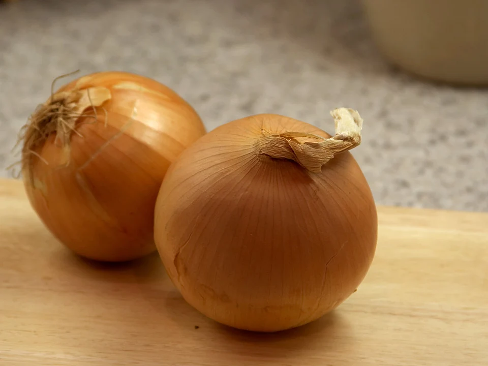 Oignons jaunes, cultivar non précisé