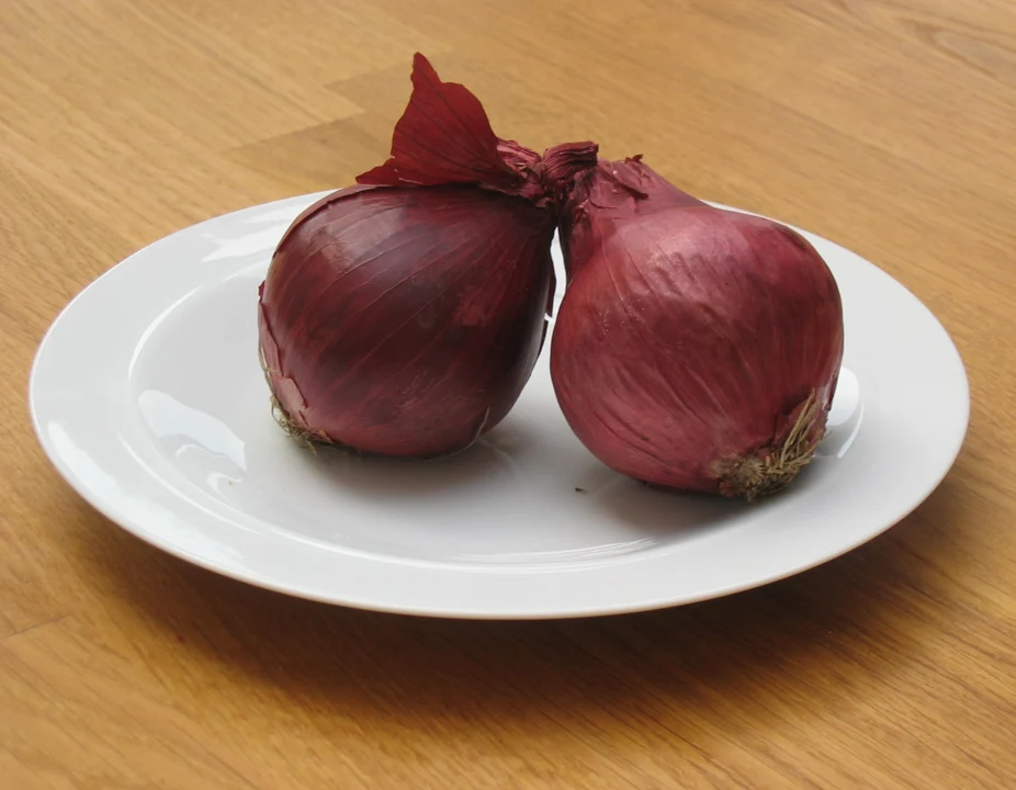 Oignons rouges, cultivar non précisé